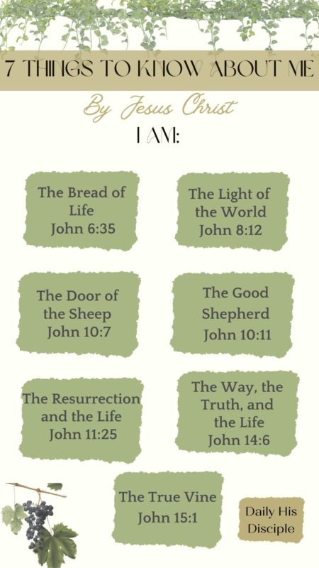 The 7 "I Am" Statements Of Jesus - Daily His Disciple